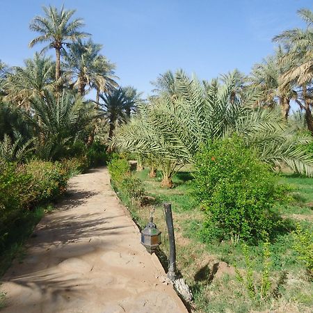 Riad Tagmadarte Ferme d'Hôte Zagora Extérieur photo
