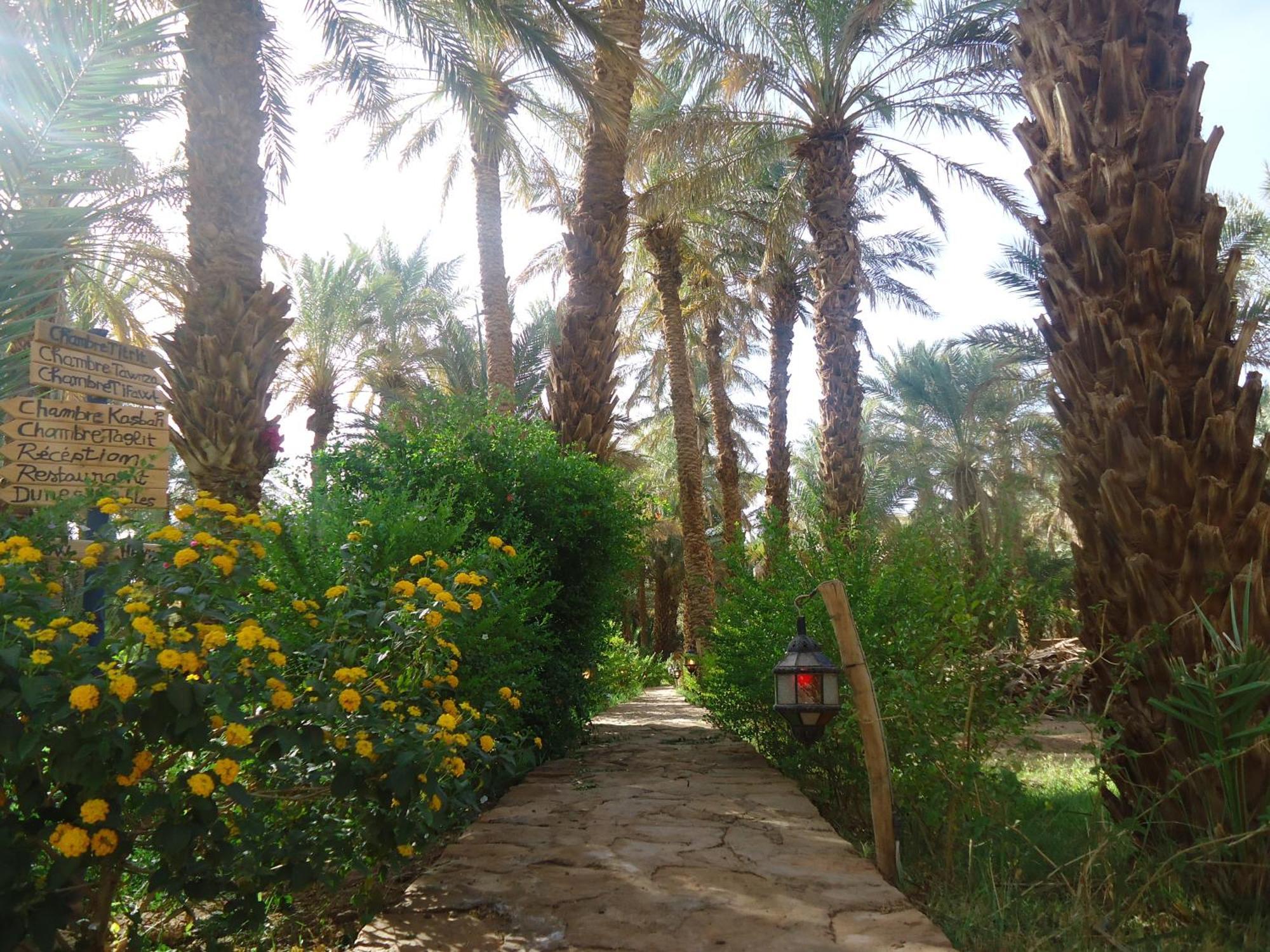 Riad Tagmadarte Ferme d'Hôte Zagora Extérieur photo