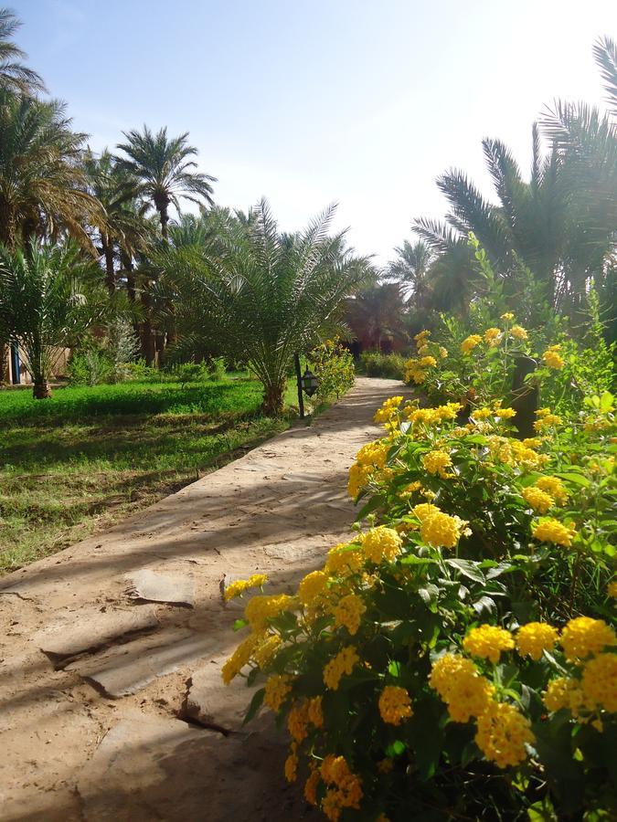 Riad Tagmadarte Ferme d'Hôte Zagora Extérieur photo