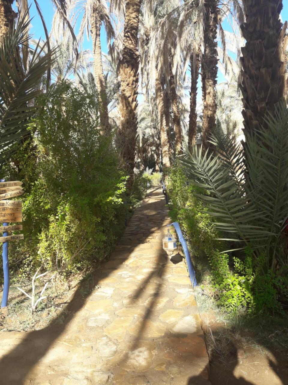 Riad Tagmadarte Ferme d'Hôte Zagora Extérieur photo