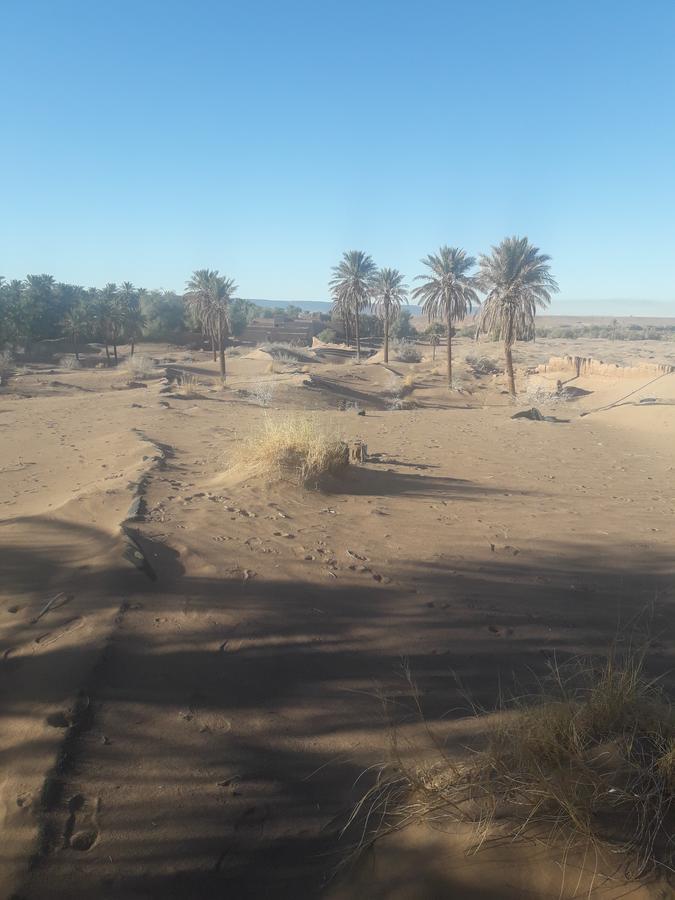 Riad Tagmadarte Ferme d'Hôte Zagora Extérieur photo