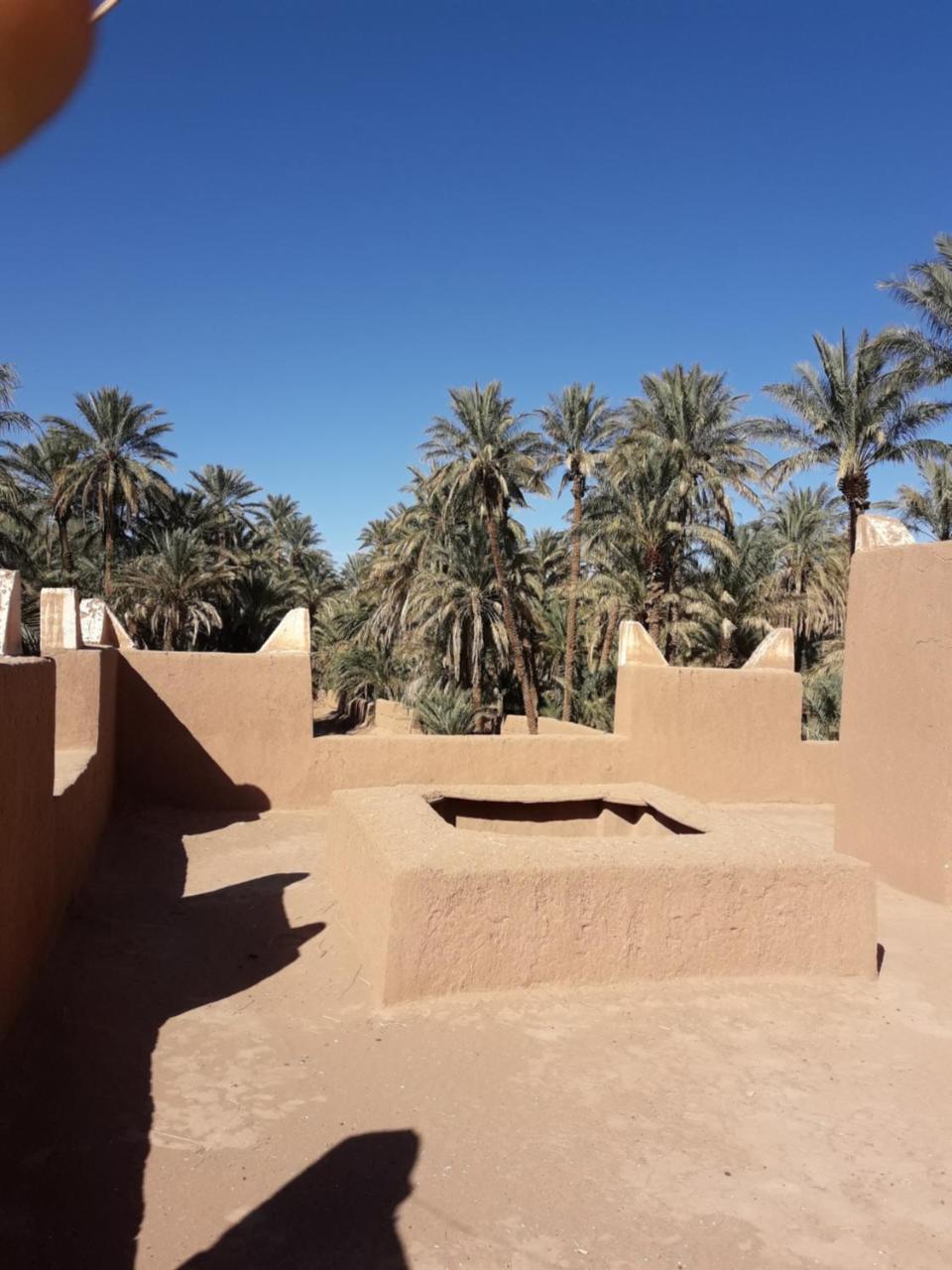 Riad Tagmadarte Ferme d'Hôte Zagora Extérieur photo