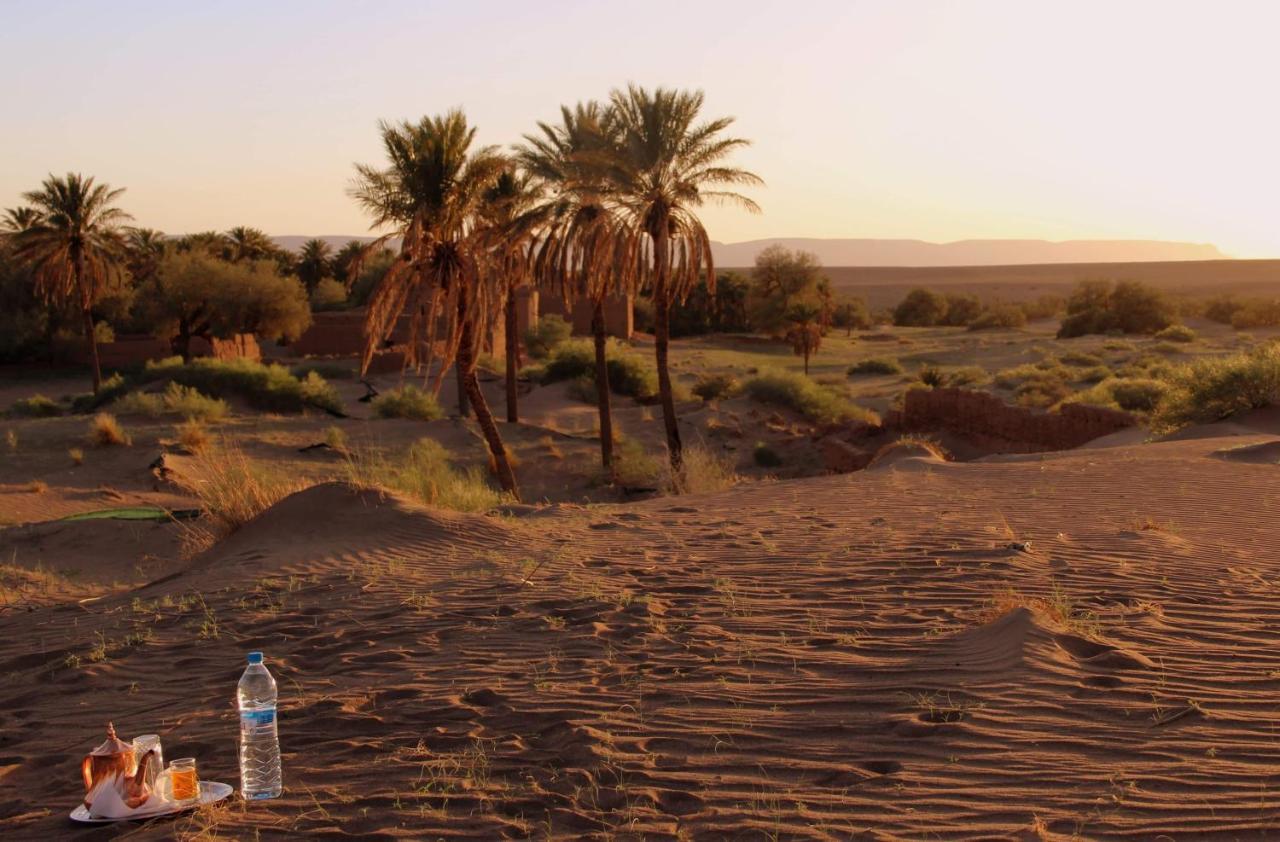 Riad Tagmadarte Ferme d'Hôte Zagora Extérieur photo