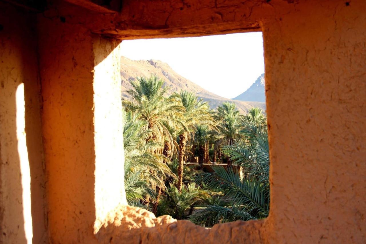 Riad Tagmadarte Ferme d'Hôte Zagora Extérieur photo