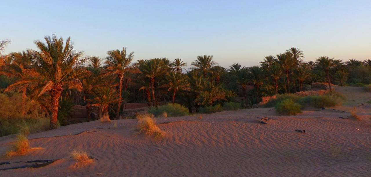 Riad Tagmadarte Ferme d'Hôte Zagora Extérieur photo