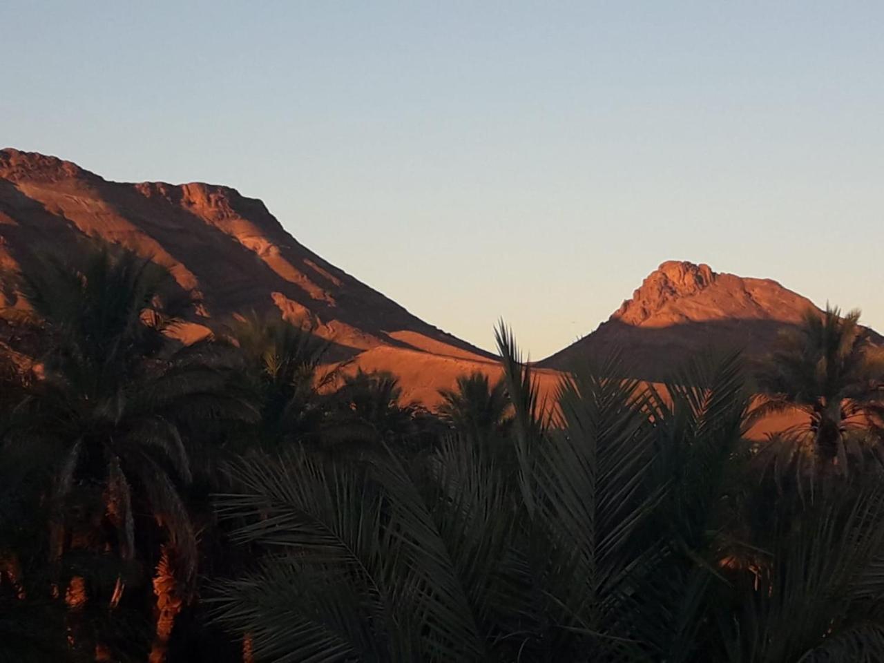Riad Tagmadarte Ferme d'Hôte Zagora Extérieur photo